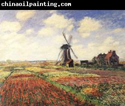 Claude Monet Tulip Fields in Holland